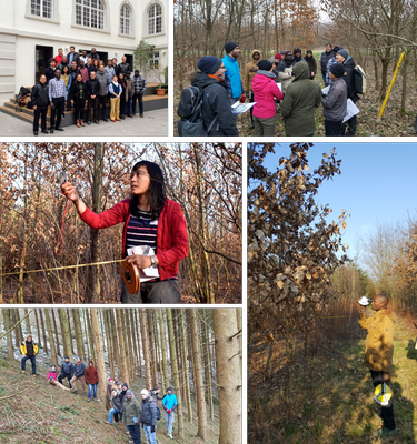 Picture Carbon Forestry